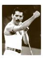 Freddie Mercury sur les comptoirs des magasins