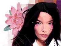 Les oeuvres complètes du Bjork