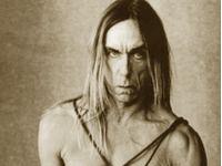 60 ans de Iggy Pop